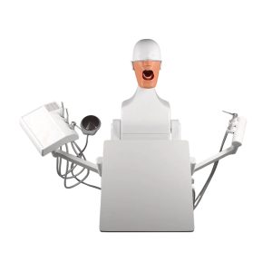 Simulator dentar