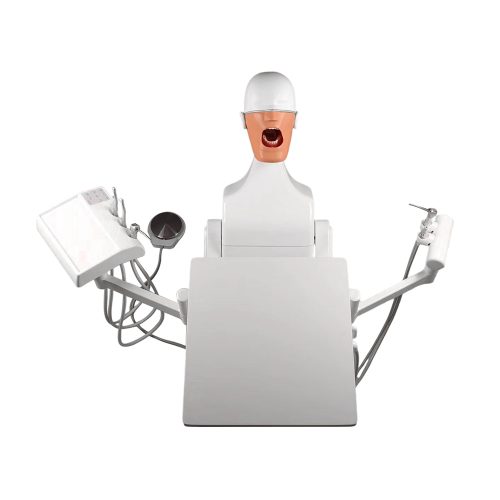 Simulator dentar